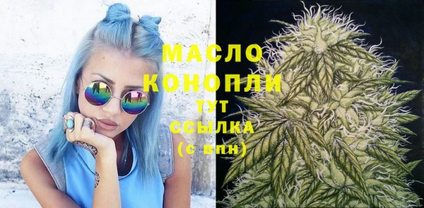 гашик Арсеньев