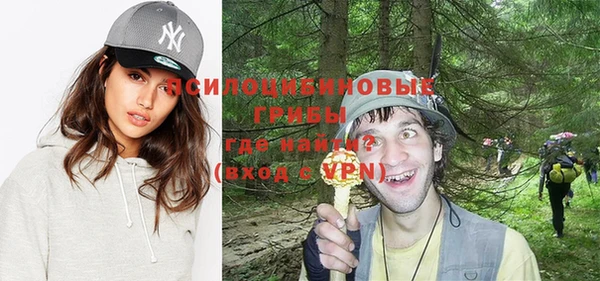 прущие грибы Аркадак
