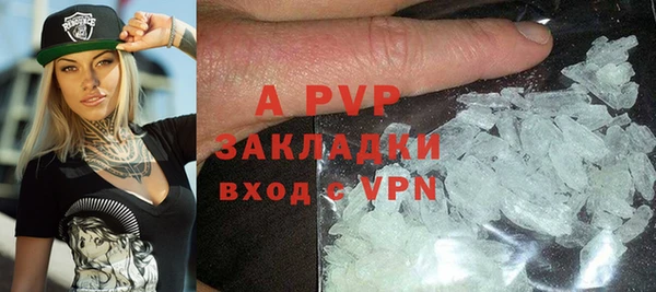 гашик Арсеньев