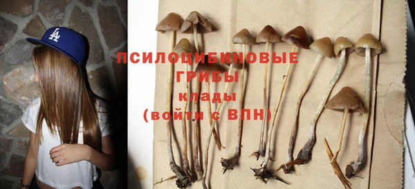 гашик Арсеньев