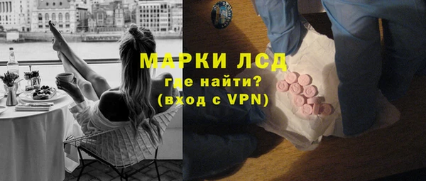 прущие грибы Аркадак