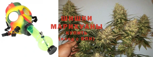 гашик Арсеньев